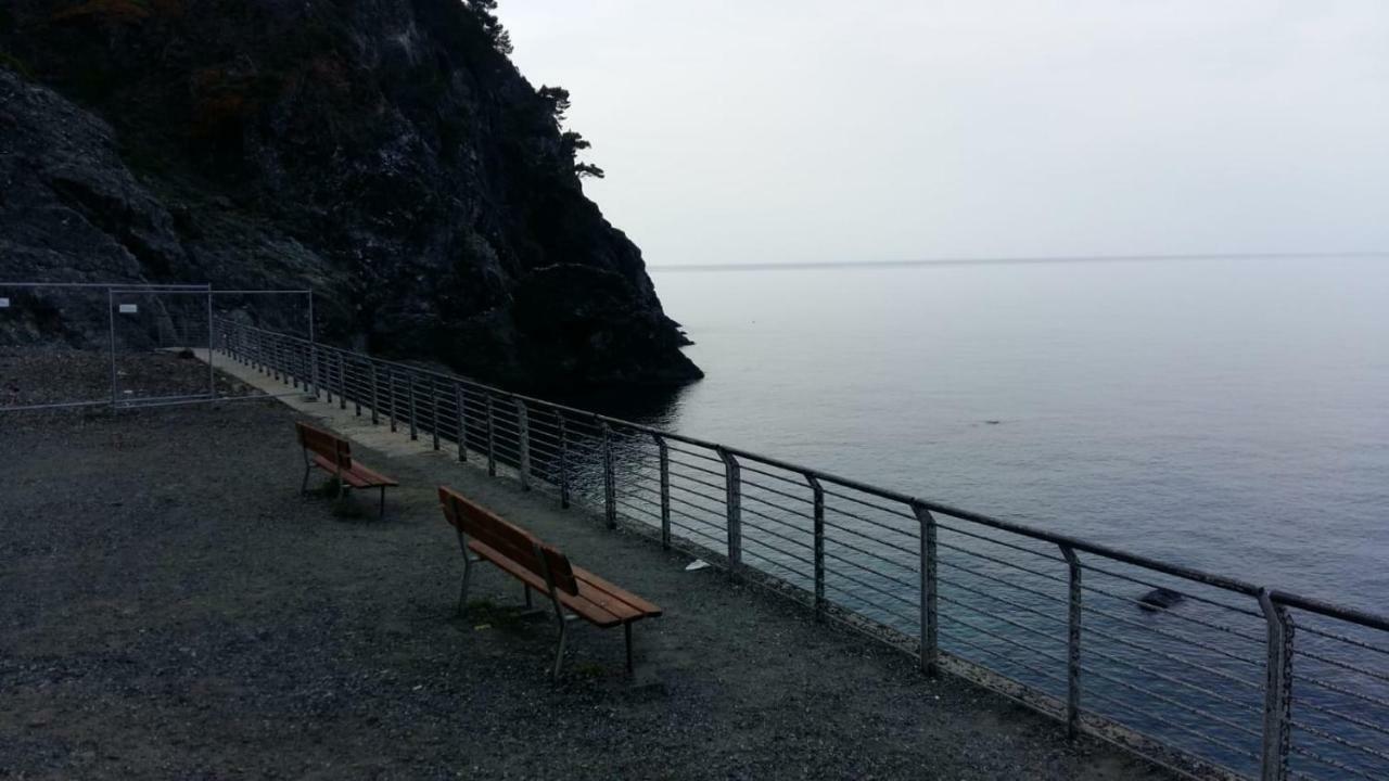 Casa Cinzia Bonassola Cinque Terre Apartment ภายนอก รูปภาพ